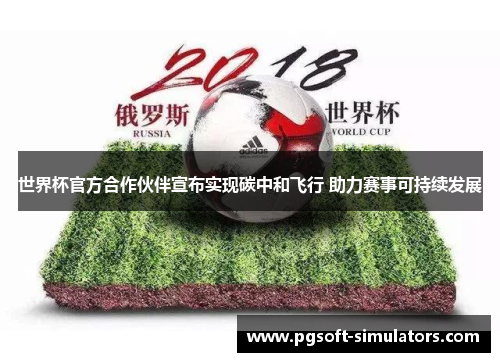 世界杯官方合作伙伴宣布实现碳中和飞行 助力赛事可持续发展 世界杯官方合作伙伴宣布实现碳中和飞行 助力赛事可持续发展
